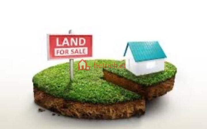 159.FM 591 m² (Extra 109 m² Included 700 m²) Detached house & plot Land
