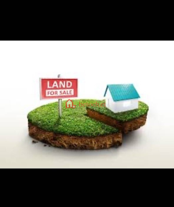 159.FM 591 m² (Extra 109 m² Included 700 m²) Detached house & plot Land