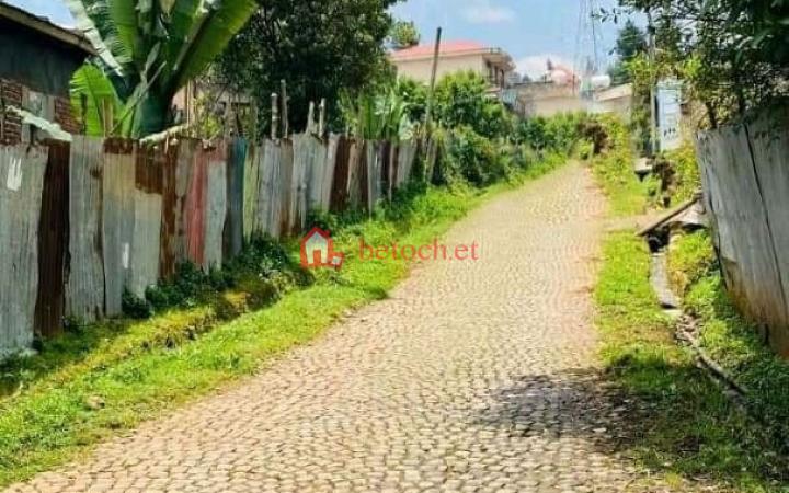 181.Asko Axum Hall 600 m² Detached house plot Land