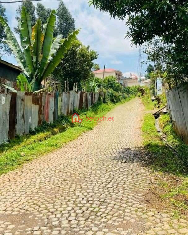 181.Asko Axum Hall 600 m² Detached house plot Land