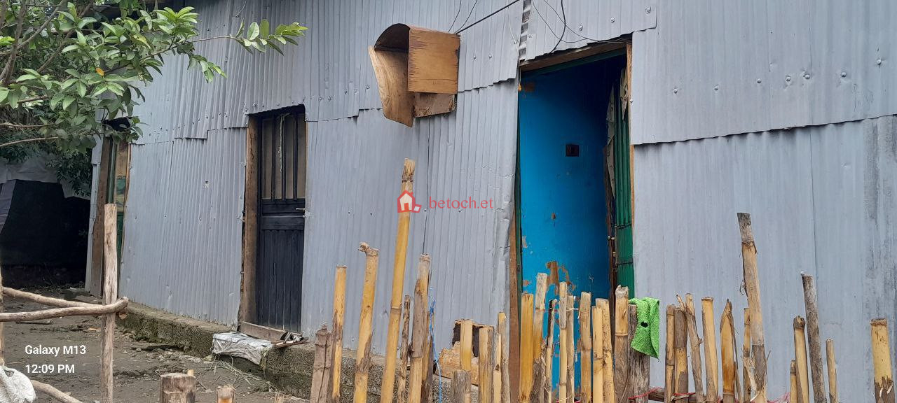 Bole michael 250 m2 Detached House𞥑Land