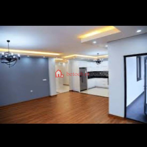 Summit Fiyel bet 265 m⁺² G⁺³ Residential Build