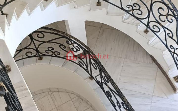 255.Bole Homes twines 500 m² G⁺² Villa Building