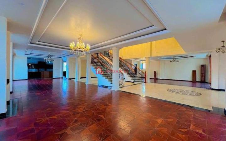 Bole 1600 m2 G+2 Luxury Villa Palace