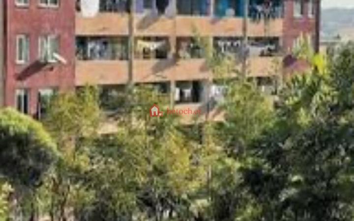 Gofa Mebrat 20/80 Condominium