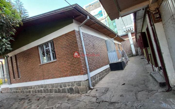 Bole 500 m2 Grand Villa House