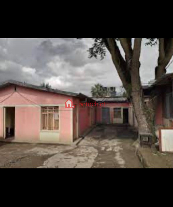 127.Goro Sefera 272 m² Residence House building