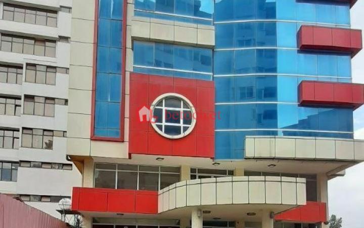 19.Bole Demibel 400 m² G⁺⁹ commercial building