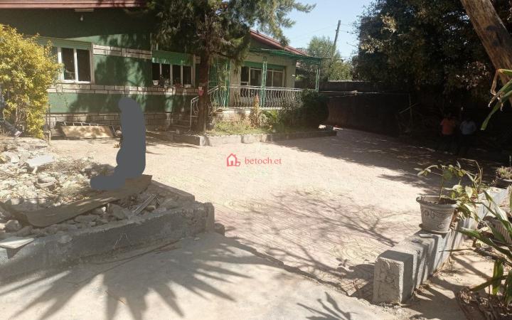 74.Lideta Tsebel-Sarbet 718 m² an old Ground residence House (For Apartment,School,moll & Others investment)