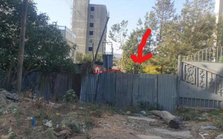 31.CMC Michael 460 m² an old residence House (Apartment or other)