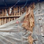 Kality Addis Foam 300 m² detached house
