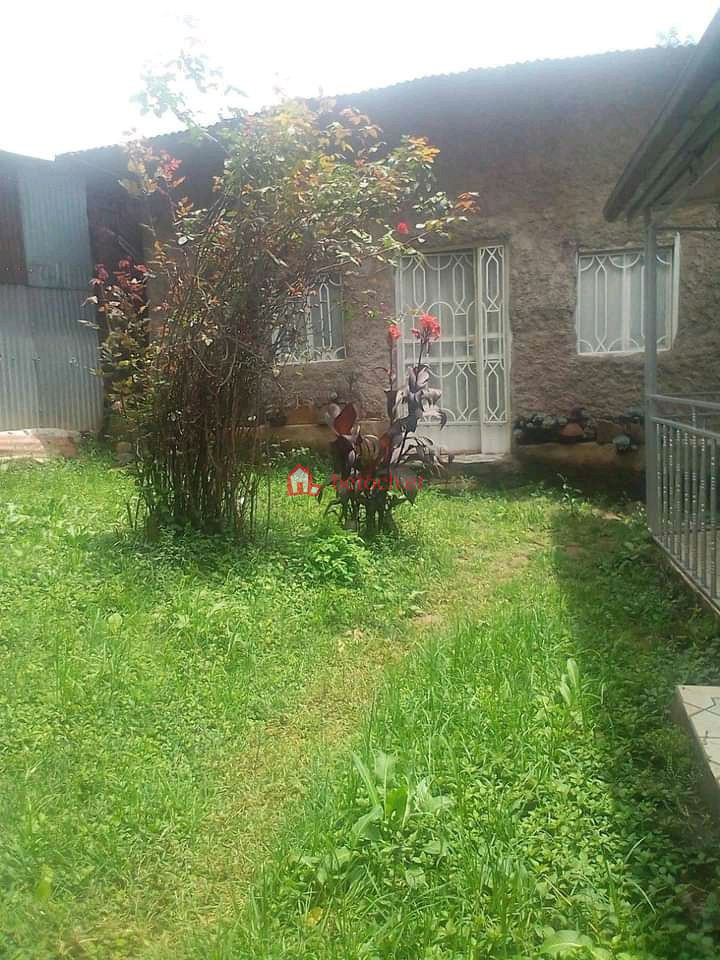 212.Abinet Clinic 151 m² L – shape an old House