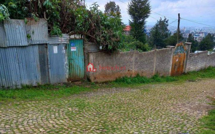 91.Lam beret 485 M² L– shape House