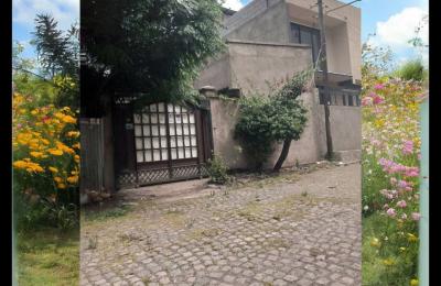 L-Shape House in Tulu Dimitu