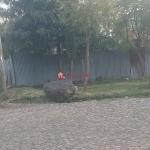 64.Kotebe 02 441 m2 L– shape Service Quarter House