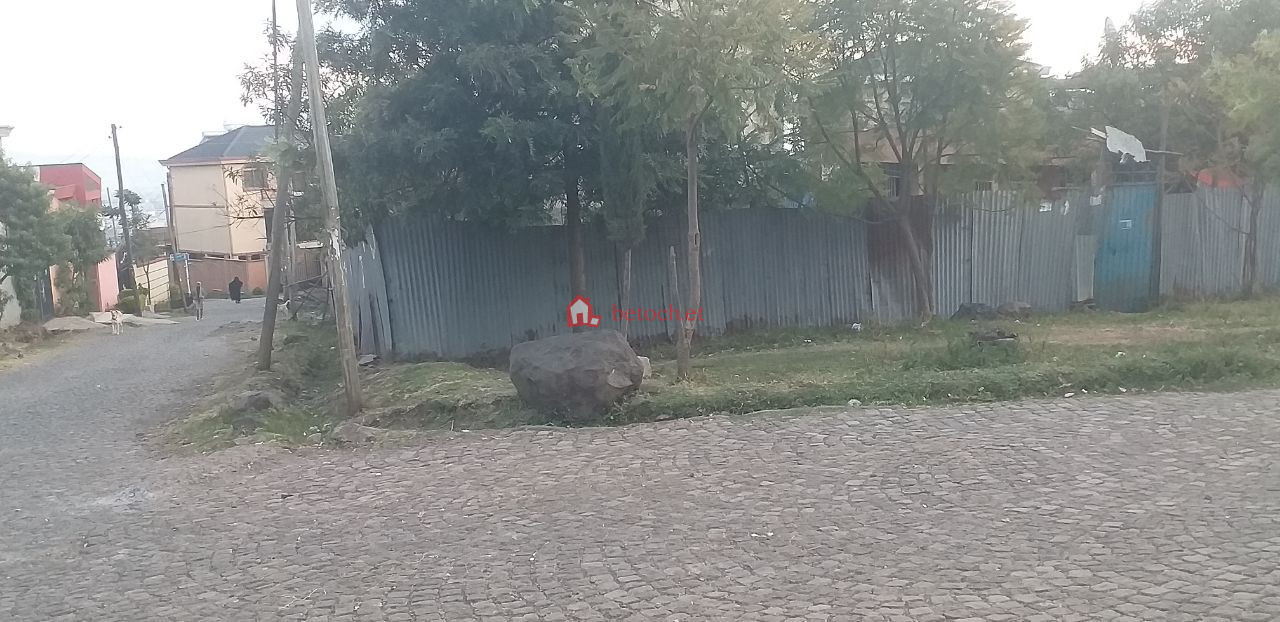 64.Kotebe 02 441 m2 L– shape Service Quarter House
