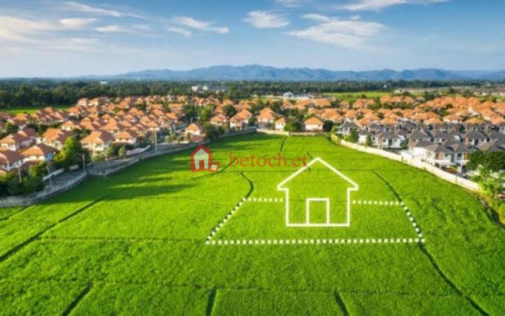 35.Figa 20155 m2 Land Investment, Building Plots & Investing in Land