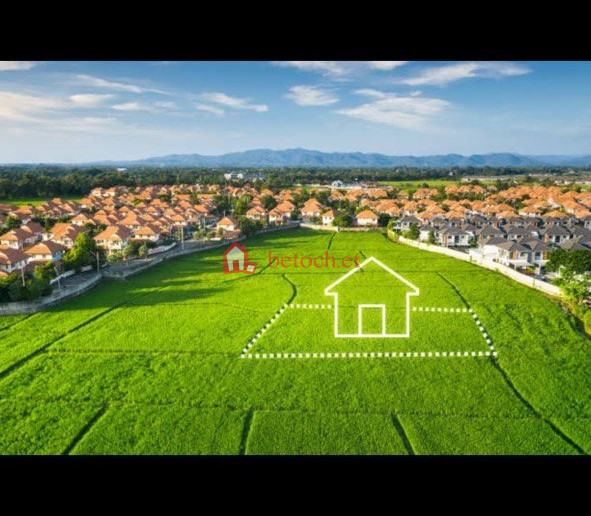 35.Figa 20155 m2 Land Investment, Building Plots & Investing in Land