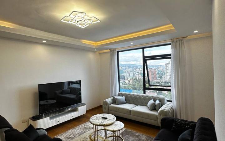 Luxury Century Apartment in Bole