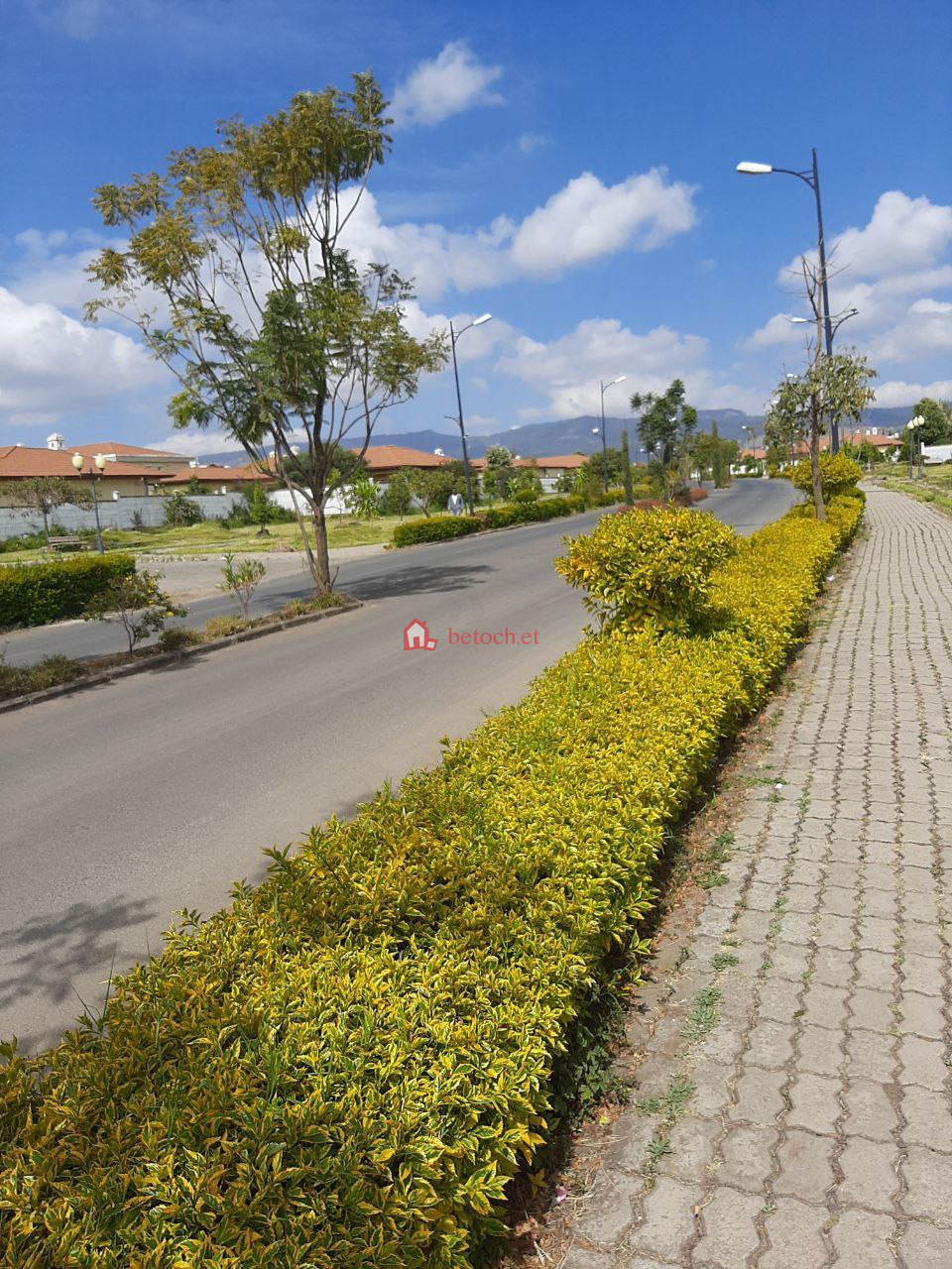 27.Tafo CCD 1000 m² G⁺¹ Luxury Villa House Building