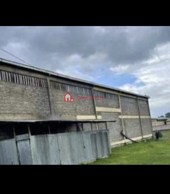 36.Kolfe Rufael 3000 m² Manufacturing or Ware Houseš„Store and office