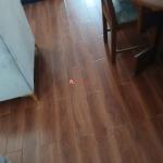 Megenagna Tourists 40/60 Condominium 61 m2