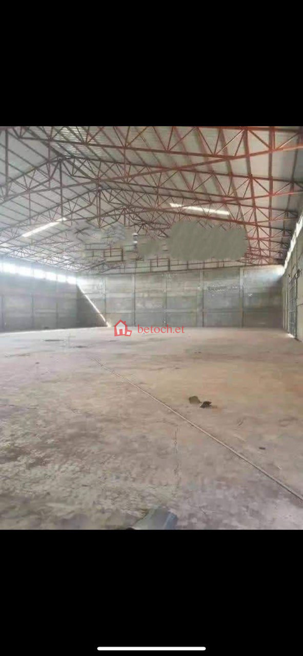 Sheger City 10000 m2 Multi Purposes Warehouse