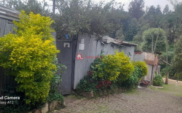 137.An old House Lideta binaw Hotel 300 m²