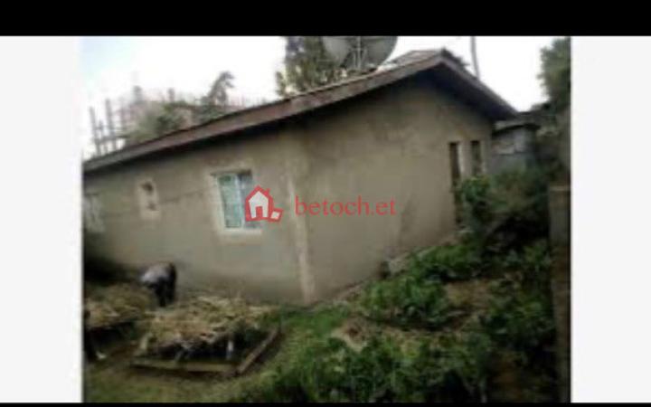 140.Debire Birihan 500 M² Old House