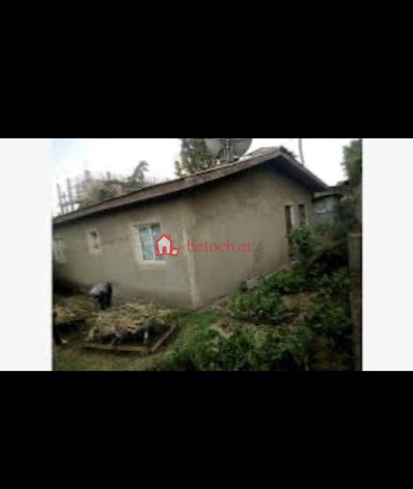 140.Debire Birihan 500 M² Old House