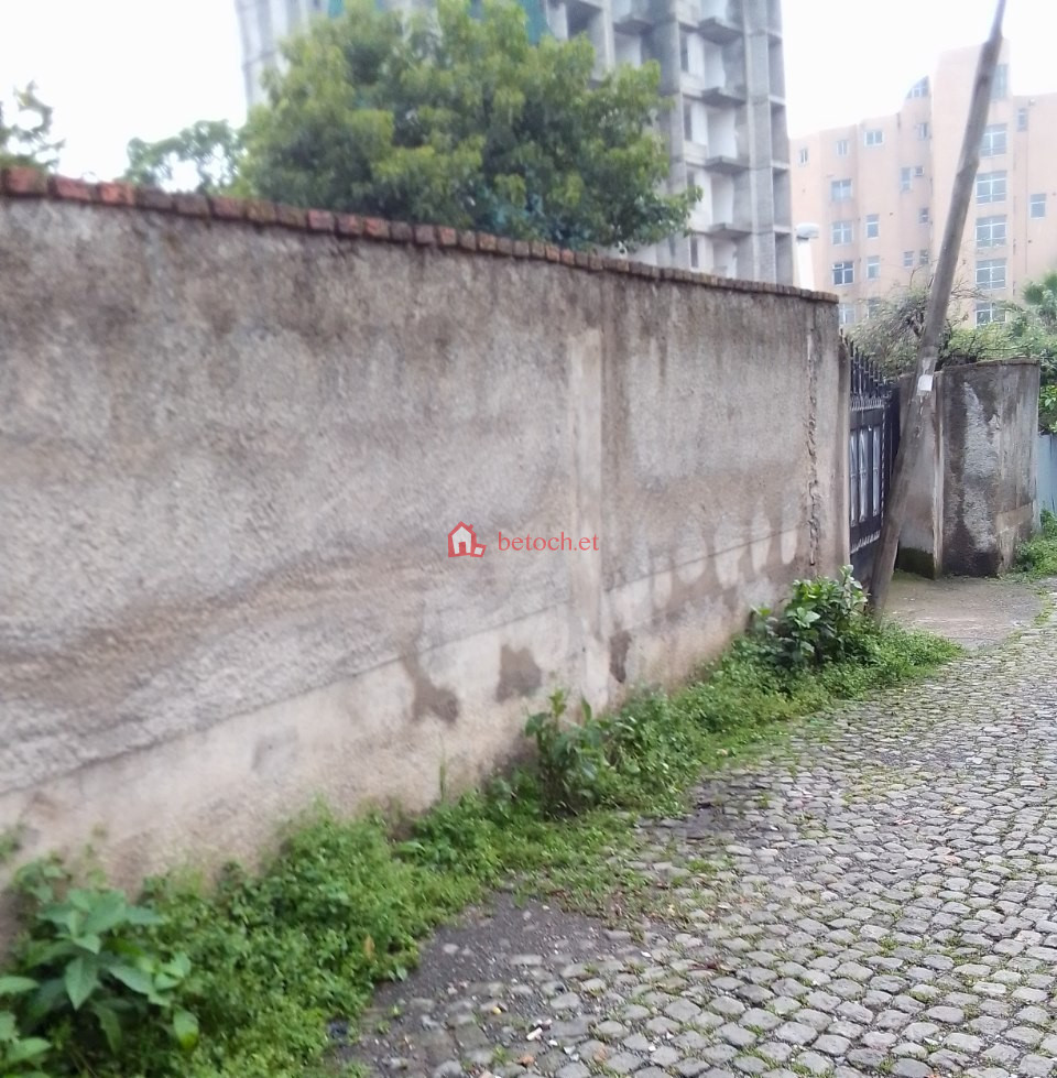 145.Urael Bamibis 500 M² Old House