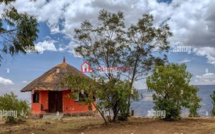 43.Wossen Abem 325 m² An old House l land