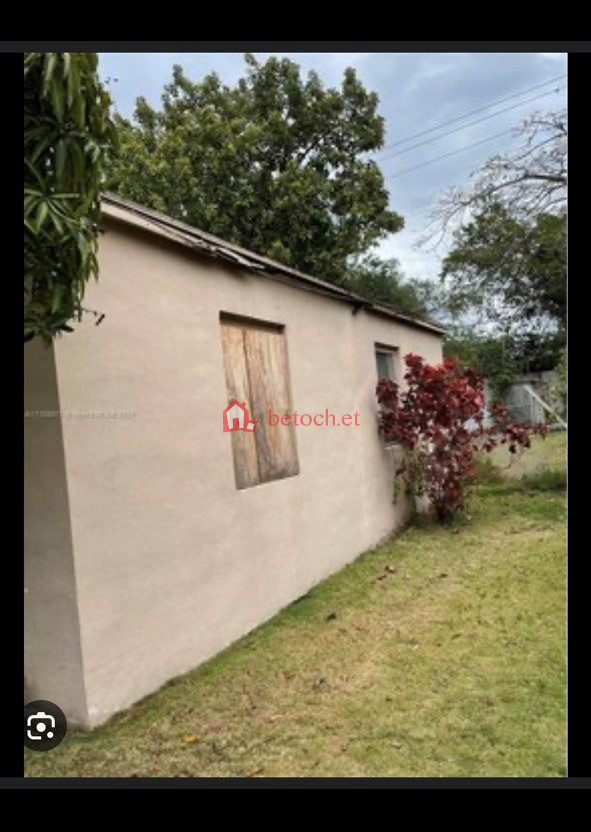 147.Figa 200 M² Old House|Land