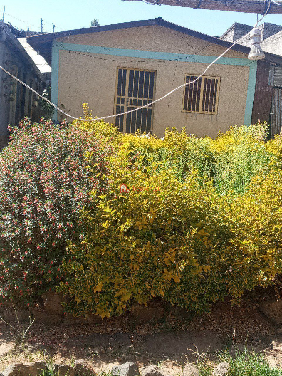 5.Semen mezegaja 320 m2 Old Residence House (For apartment or other)