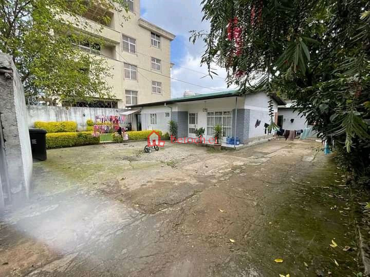 44.Mekanisa Vatican 362 m² an old Villa House