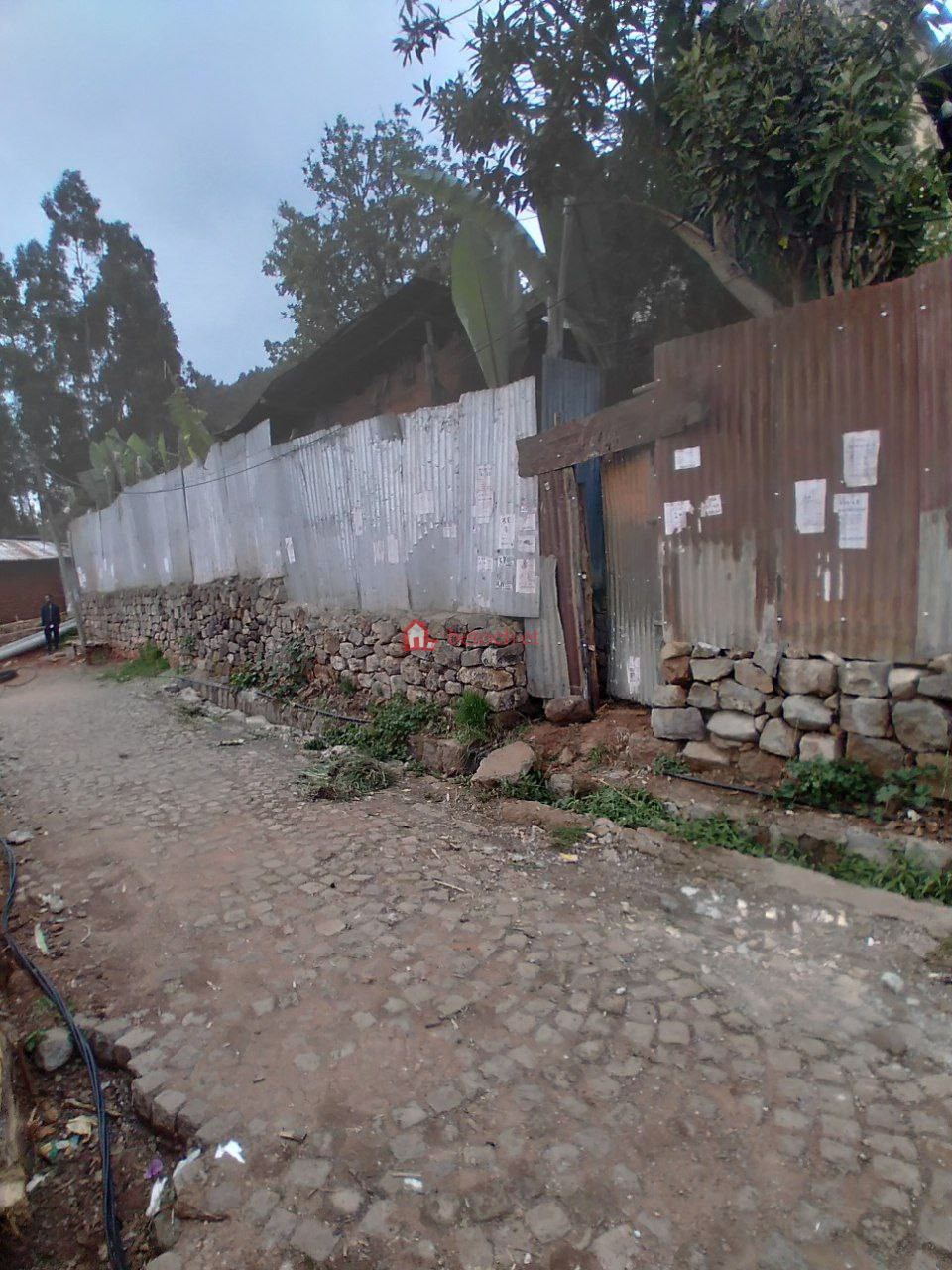 109. Sholla 300 m² an old House (For residence or Apartment)