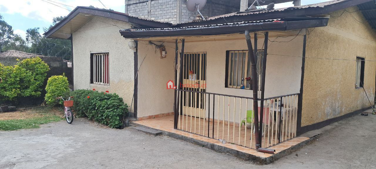 110.Abuare 260 m² an old House ( If residence, Apartment or mole )