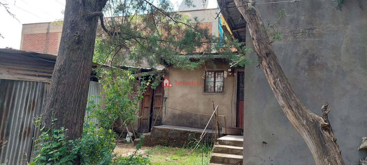2.Bole bulbula 195 m2 Ground an old Villa House