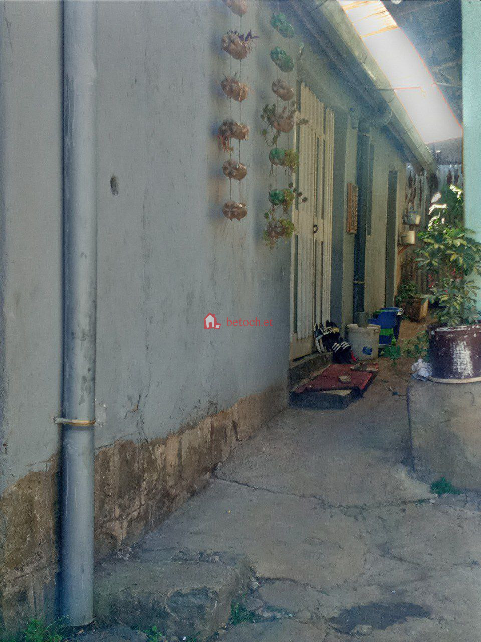 5.Semen mezegaja 320 m2 Old Residence House (For apartment or other)