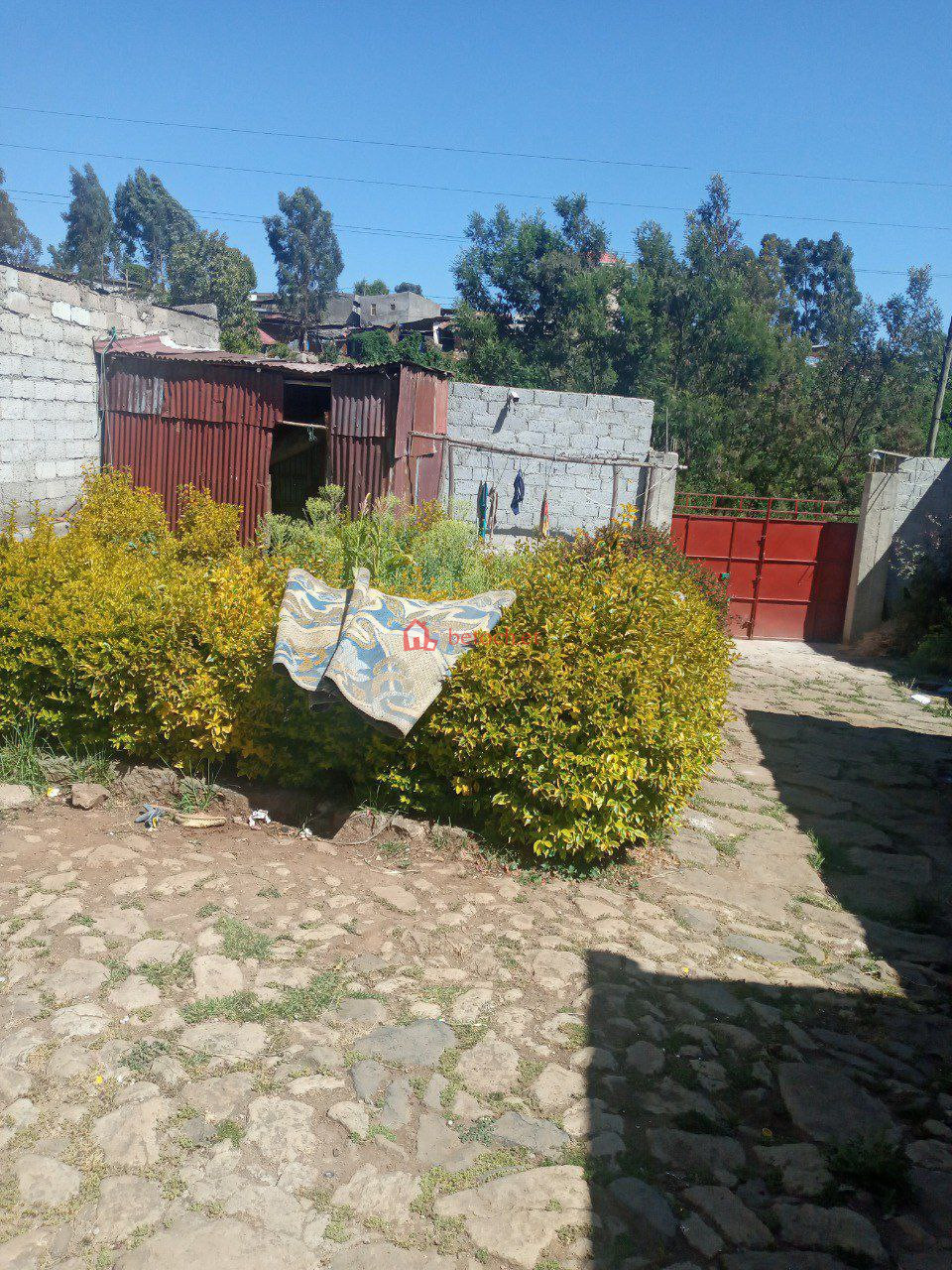 5.Semen mezegaja 320 m2 Old Residence House (For apartment or other)