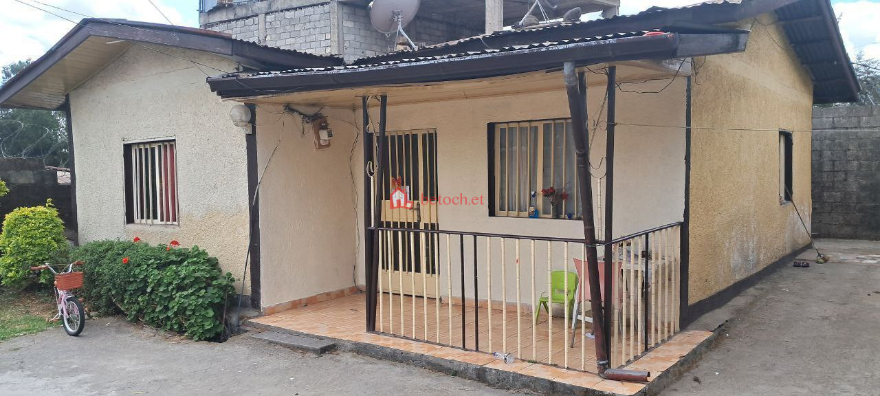 110.Abuare 260 m² an old House ( If residence, Apartment or mole )