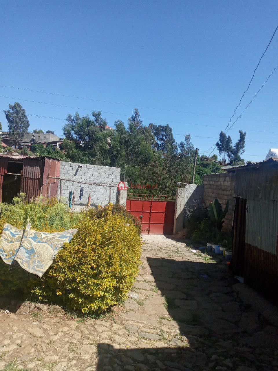 5.Semen mezegaja 320 m2 Old Residence House (For apartment or other)