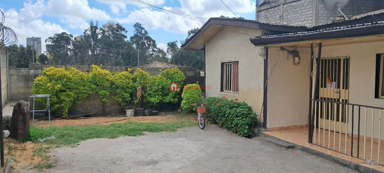 110.Abuare 260 m² an old House ( If residence, Apartment or mole )