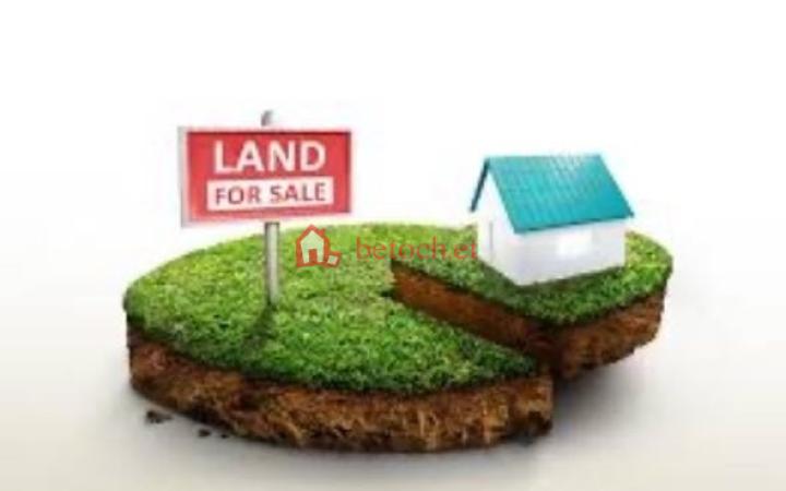 35.Ayat Yekibir demana church 150 m² Open plot land