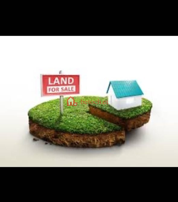 35.Ayat Yekibir demana church 150 m² Open plot land