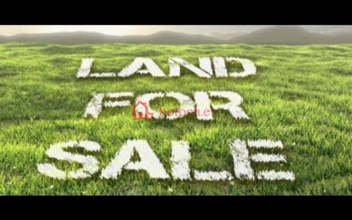 71.Legahar Stadium 180 m² Open Space l land