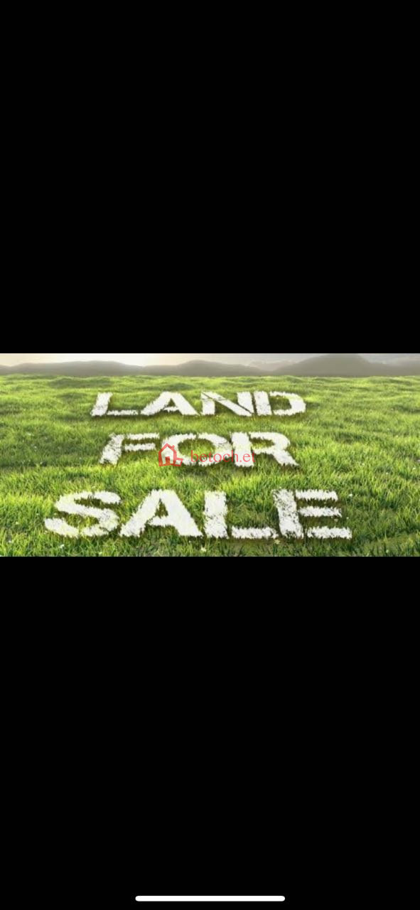 71.Legahar Stadium 180 m² Open Space l land