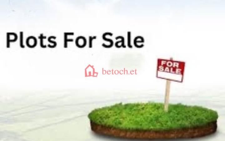 124.Gured Sholla (Ethio Ceramic) 320 m² Open Space land