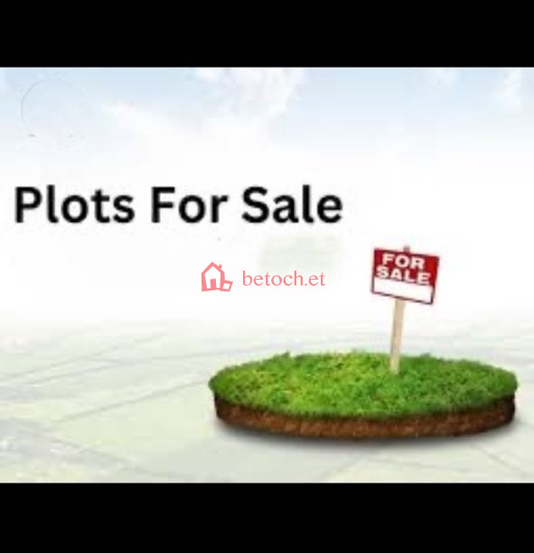 124.Gured Sholla (Ethio Ceramic) 320 m² Open Space land