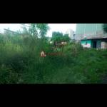 53.Summit Figa 378 m² Open Space𞥑Land